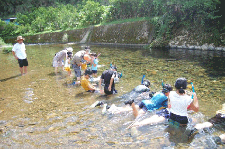 観察会